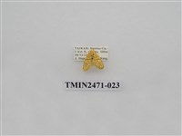 藏品(鉤弧紋豔苔蛾)的圖片